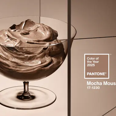 Mocha Mousse